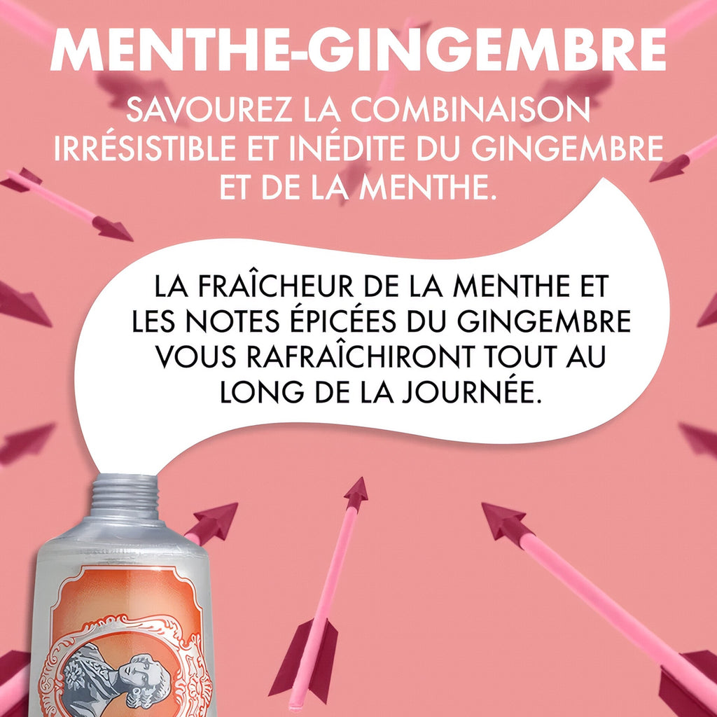 MARVIS DENTIFRICE GINGER MINT 85 ML