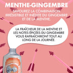 MARVIS DENTIFRICE GINGER MINT 85 ML